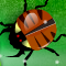 Beetle Wars Icon