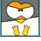 Penguin Stack Icon