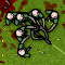 Zombie Carnage Icon