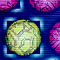 Max Connect Icon