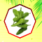 Vegetables: Memory Game Icon