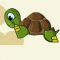 Turtle Dreams to Fly Icon