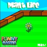 Plant Life Screenshot