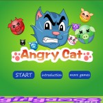 Angry Cat Screenshot