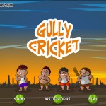 Gully Cricket Screenshot