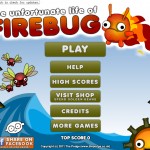 Firebug Screenshot