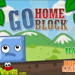 Go Home Block Screenshot