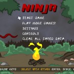 Ninja Screenshot