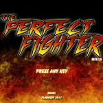 The Perfect Fighter Screenshot