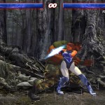 The Perfect Fighter Screenshot